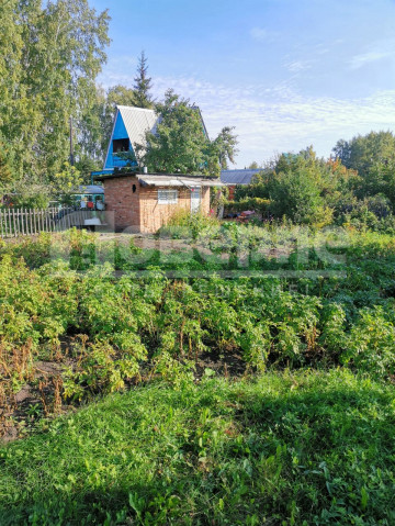 Омск, Октябрьский округ СНТ Шинник -2 10