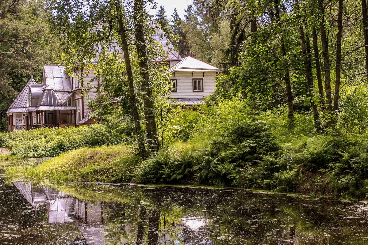 Дачи простор. Усадьба «дом на берегу» Алтай. Усадьба Лесная Андреевка. Дачный поселок "усадьба в лесу". Усадьба на берегу реки.